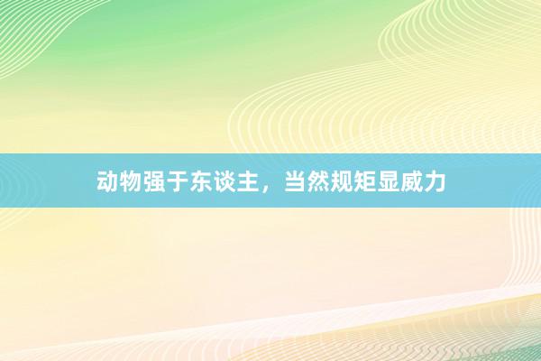 动物强于东谈主，当然规矩显威力